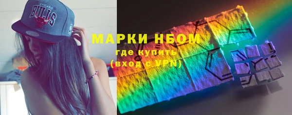 дмт Алзамай