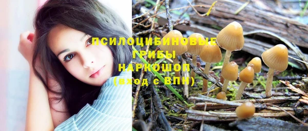 дмт Алзамай