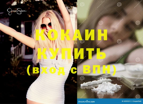 дмт Алзамай